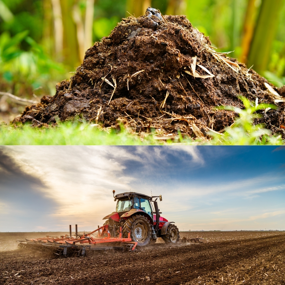 About Sri Venkateswara Traders